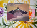 Metamorphosis ~ print