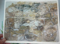 Mushrooms ~ print