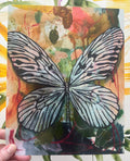 Palette Butterfly ~ print