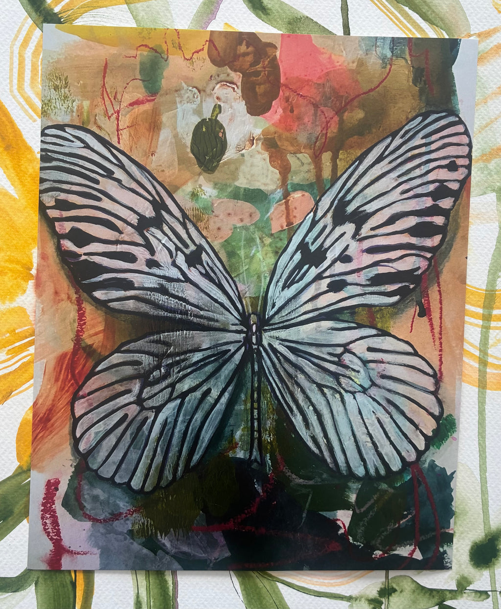 Palette Butterfly ~ print
